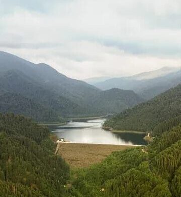 WhatsApp Image 2026-05-14 at 12.48.46 (4)